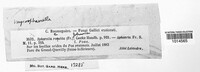 Image Associated With the Occurence